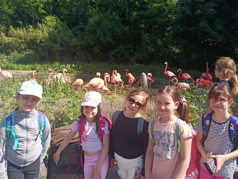 Zoo Ostrava
