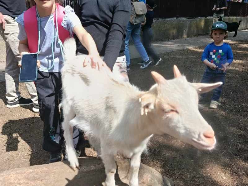 Zoo Ostrava