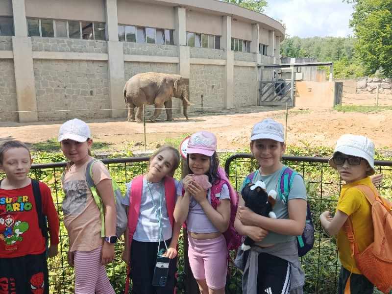 Zoo Ostrava