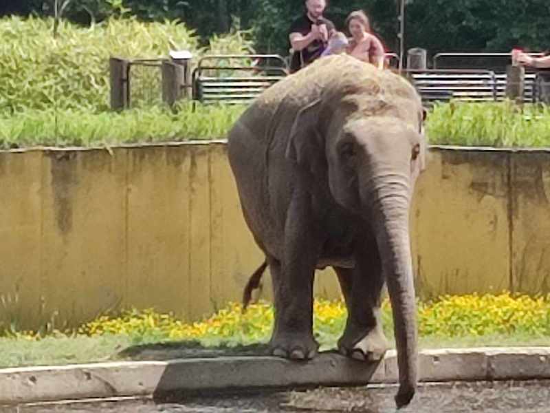 ZOO