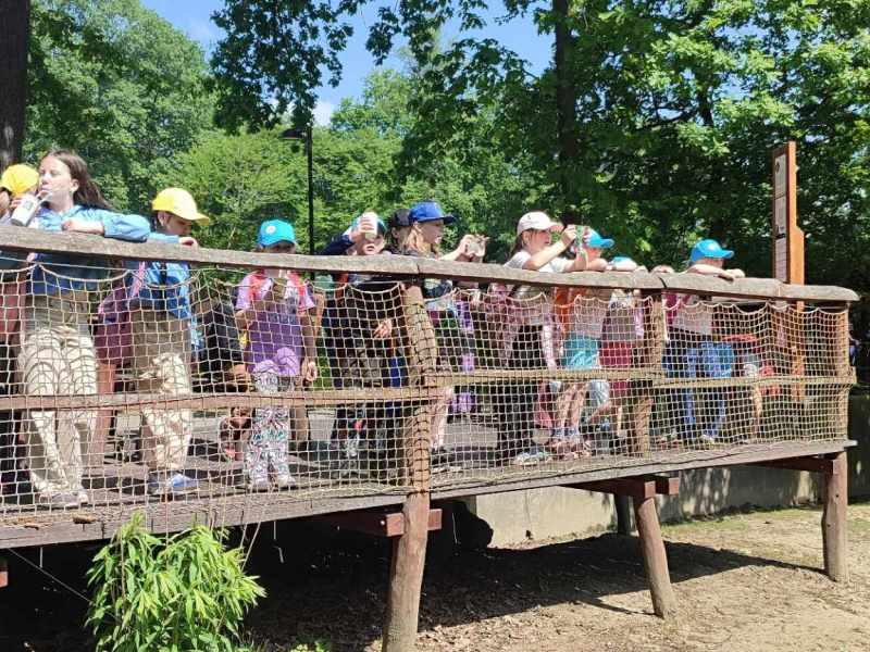 ZOO