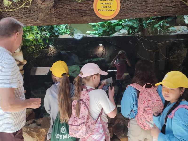 ZOO